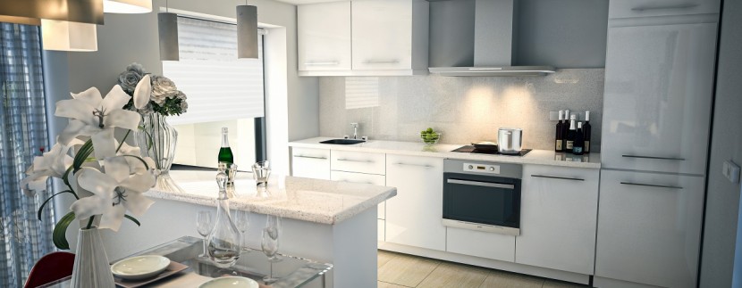 int cocina 25