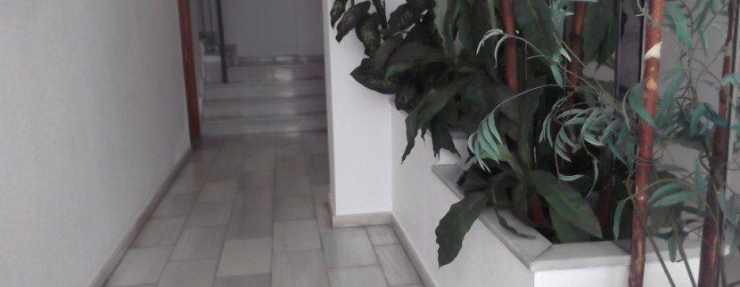 DSCF6437 (FILEminimizer)