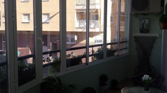20151130_121150 (Medium)