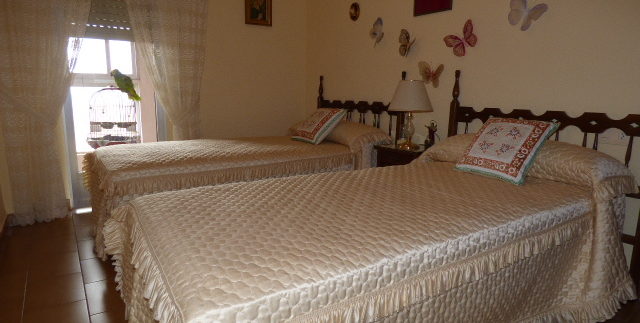 Apartamento en Torrevieja zona Playa de los Naufragos