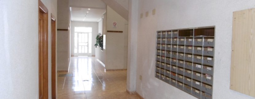 P1000031